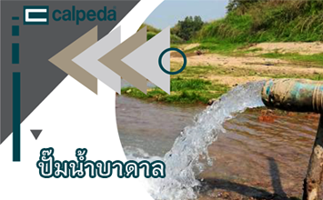 เลือกปั๊มน้ำบาดาล